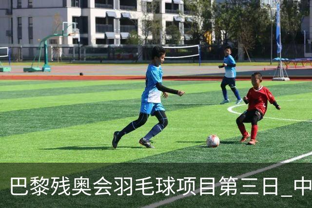 巴黎残奥会羽毛球项目第三日 中国队取得13胜3负